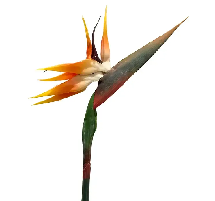 Kunstig papegøje blomst også kaldet paradisfugl i gul og orange af plast closeup