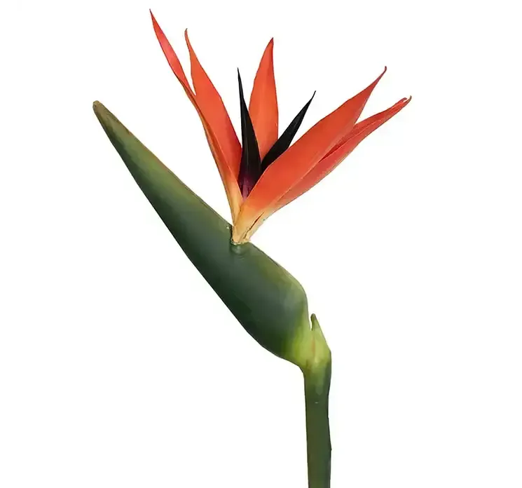 Kunstig papegøjeblomst af plast og kunststof i orange, rød og grøn closeup