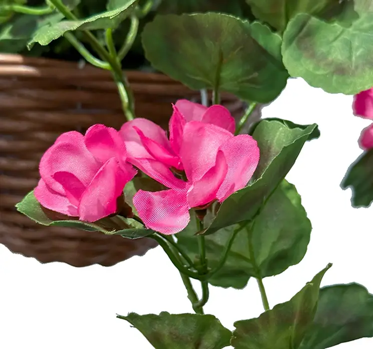 Pelargonie også kaldes storkenæb i fuchsia kunstig blomst af plast med kurv til ophæng closeup