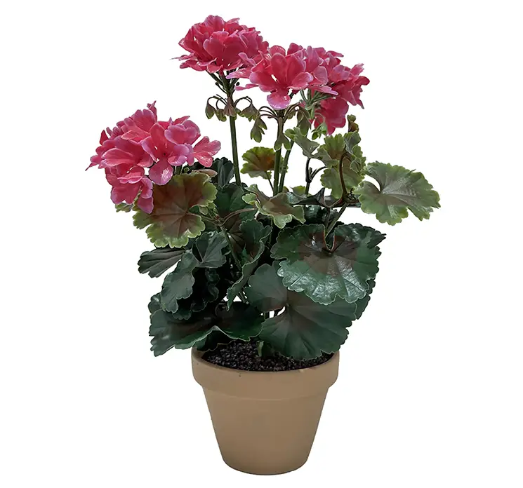 Pelargonie geranium kunstig blomst i fuchsia uv-beskyttet i plast