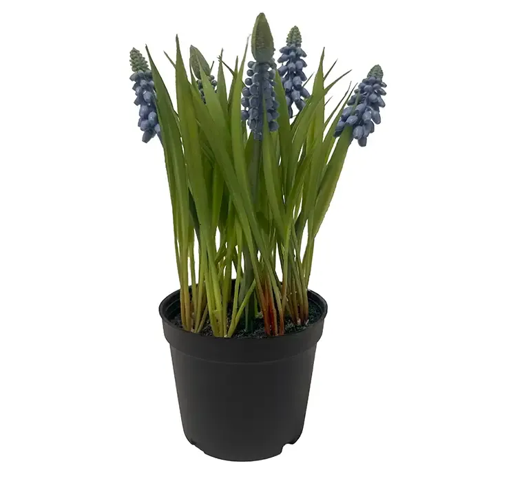 Kunstig perlehyacint i blå med sort potte, af plast