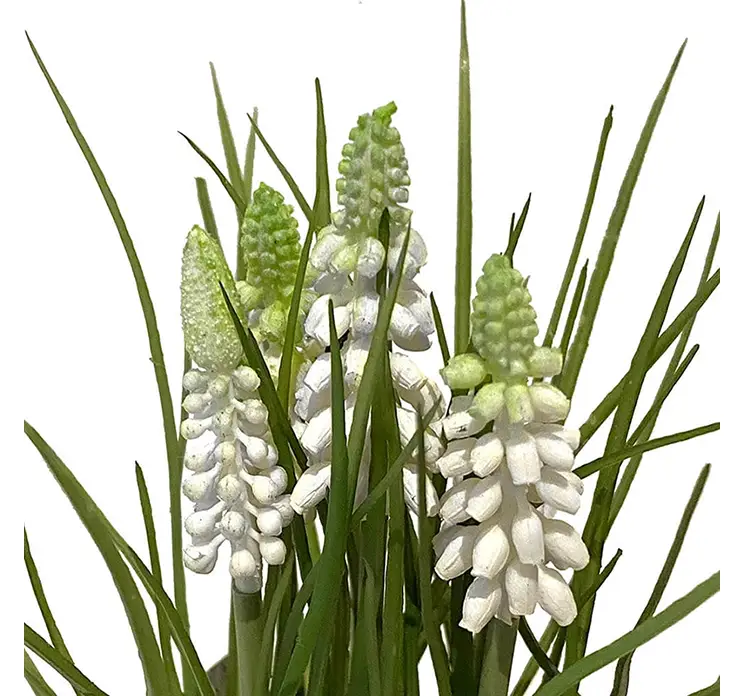 Perlehyacint i hvid kunstig blomst af plast i sort potte closeup af blomster