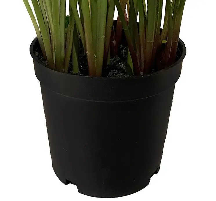 Perlehyacint i hvid kunstig blomst af plast i sort potte closeup af potte