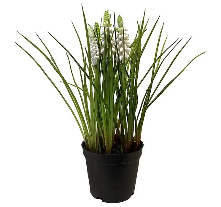 Perlehyacint i hvid kunstig blomst af plast i sort potte