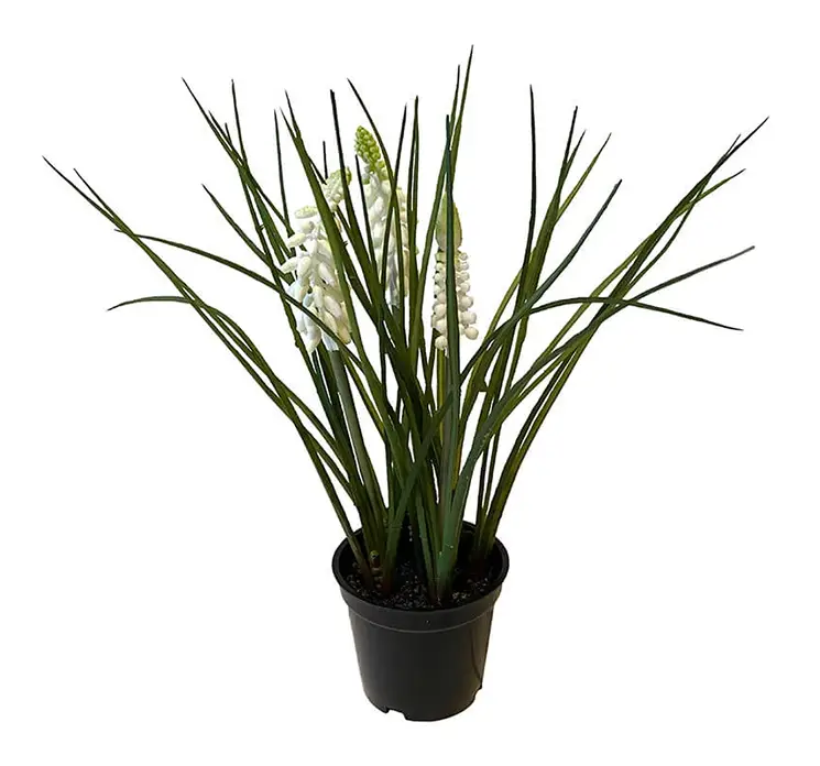 Perlehyacint i potte kunstig blomst af plast i hvid 3cm