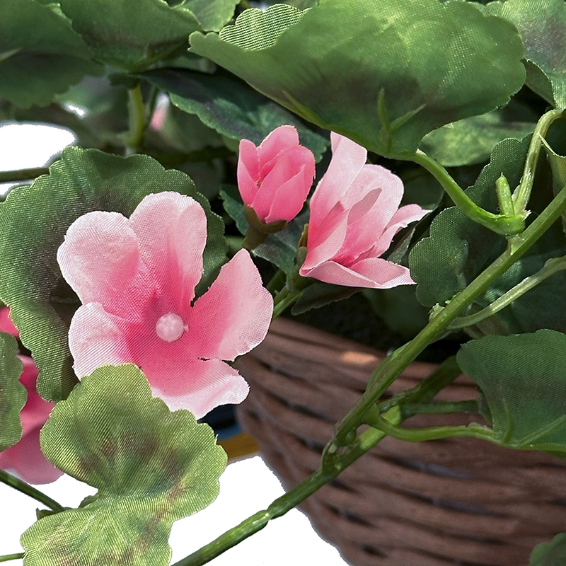 Pelargonie også kaldet geranium med kurv til ophæng kunstig uv-beskyttet blomst i lyserød closeup