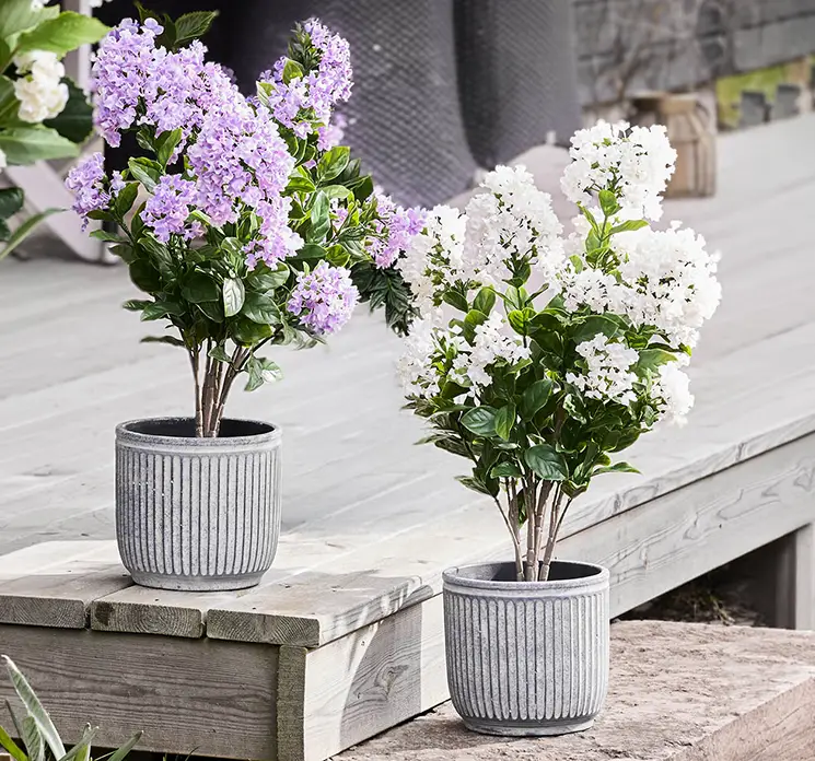 Syrener i hvid og lilla kunstige blomster vist i krukker på terrasse