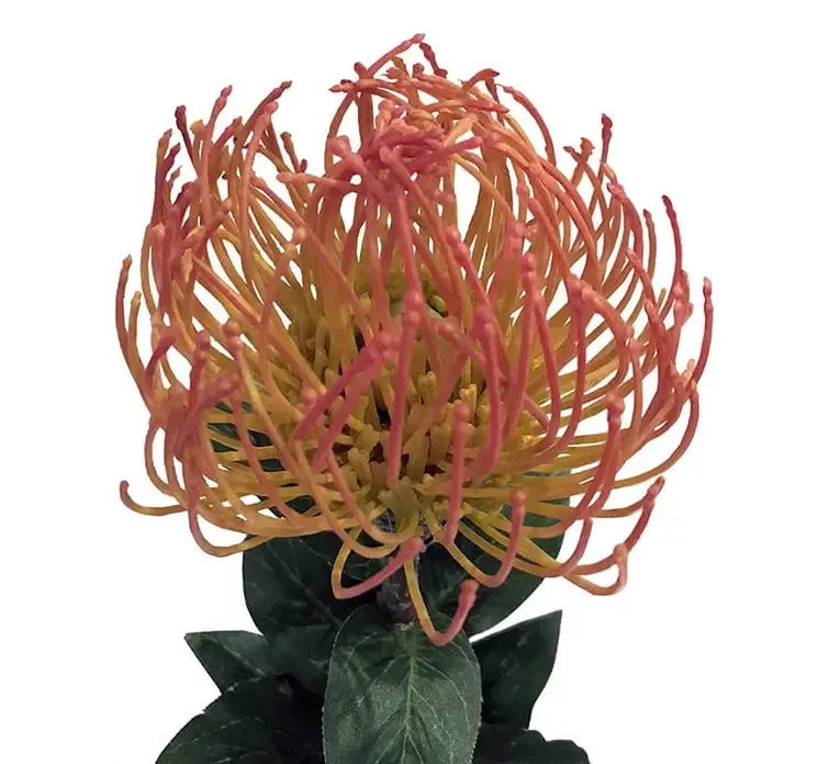 Kunstig protea blomst i orange og gul af plast closeup