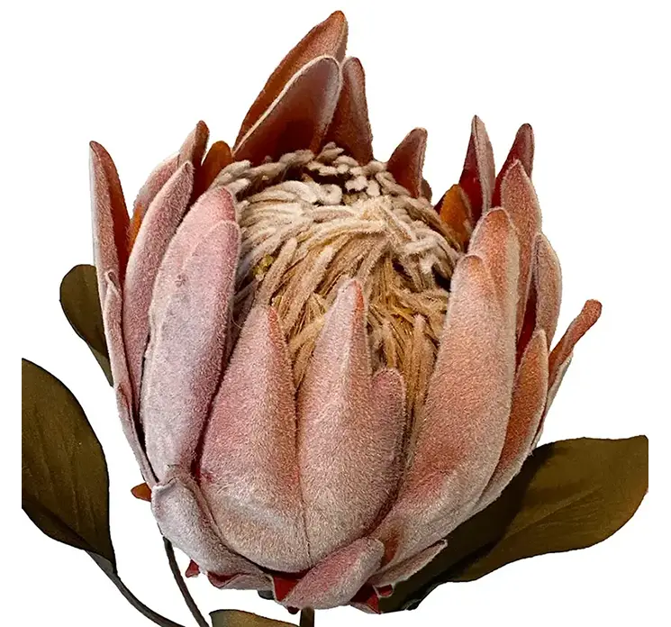 Protea kunstig blomst af plast i fersken farvet closeup