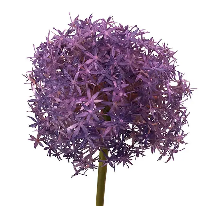 Prydløg kunstig blomst af plast i lilla closeup