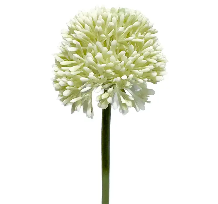 Kunstig prydløg blomst af plast i hvid, closeup af blomsterhoved