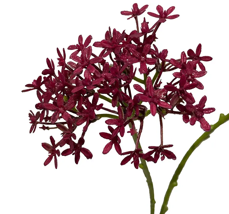 Prydløg kunstig blomst af plast i bourgogne med to stilke closeup