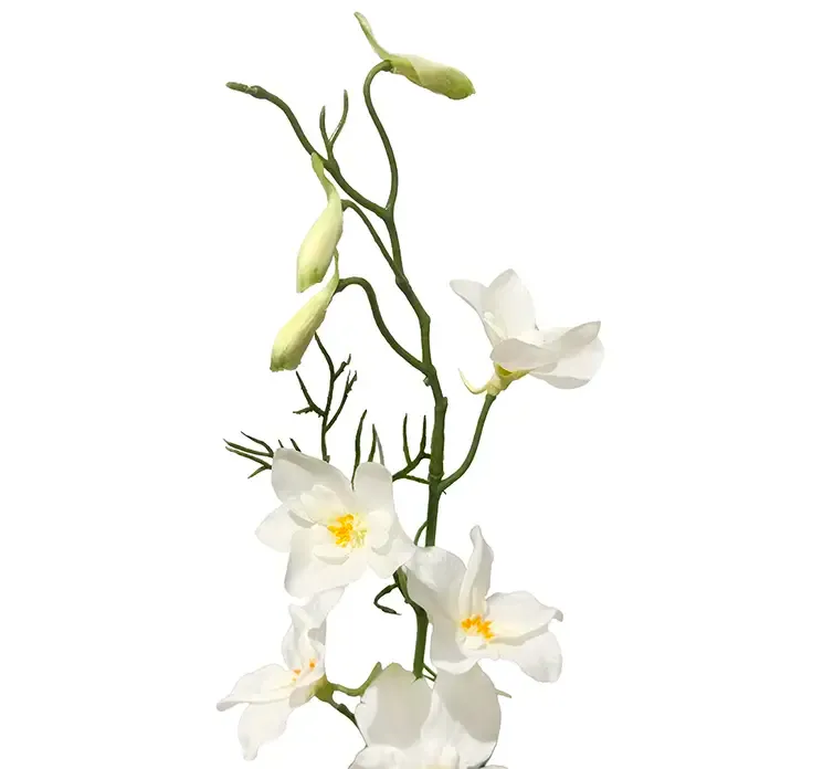 Ridderspore blomst i hvid af plast kunstig close