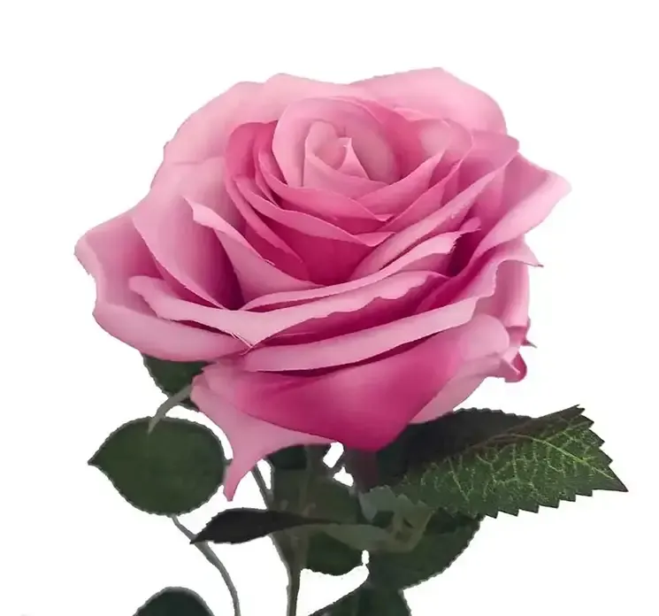 Kunstig rose pink farvet af plast closeup