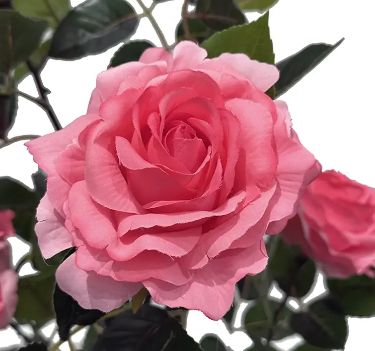 Rose i pink kunstig blomst i sort potte af plast 56cm closeup