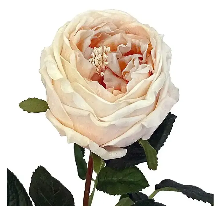 Kunstig og naturtro rose af plast i fersken farvet closeup