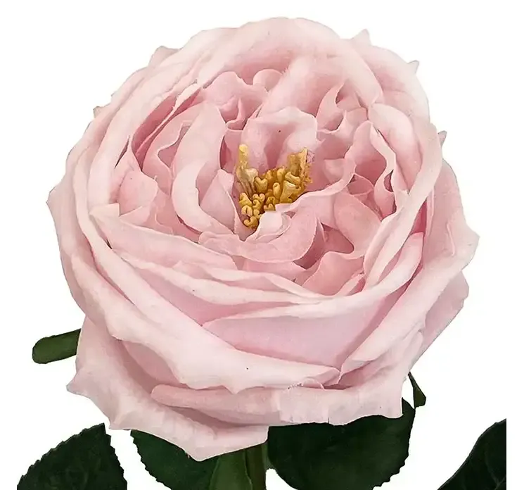 Kunstig rose på stilk i fersken farve closeup 