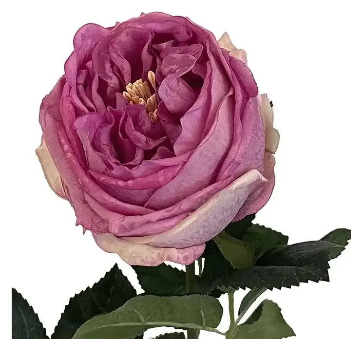Kunstig og naturtro rose af plast i rosa closeup