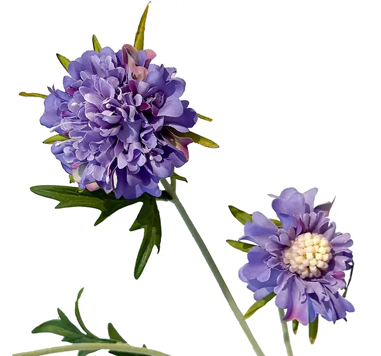 Skabiosa kunstig blomst af plast i blå closeup