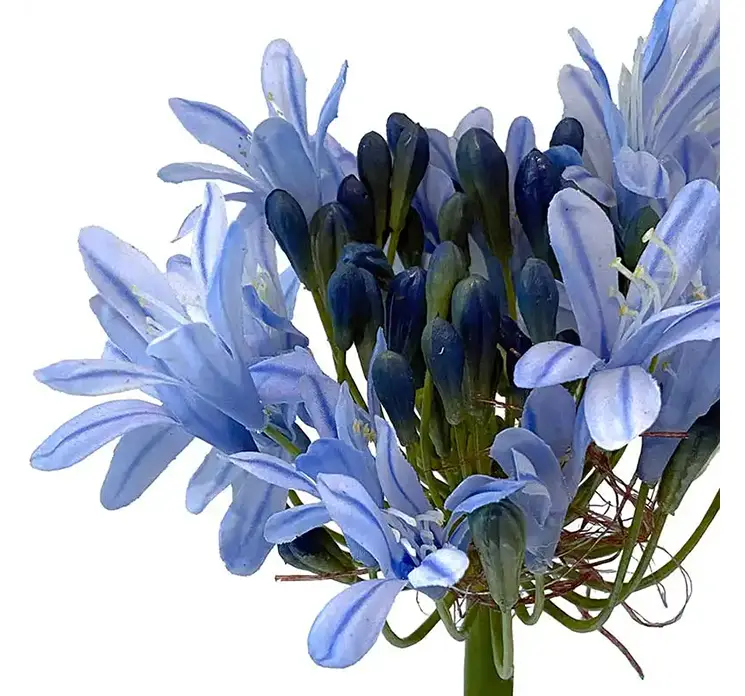 Skærmlilje kunstig blomst af plast i lyseblå closeup