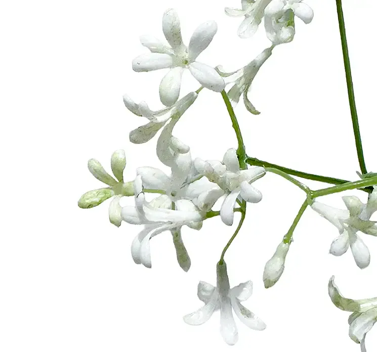 Kunstig stenbræk blomst på stilk i hvid closeup