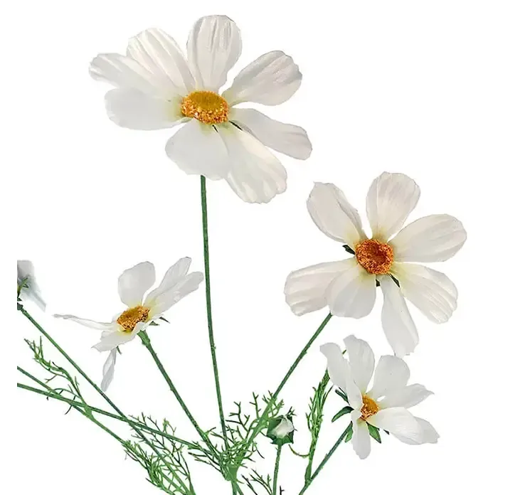 Kunstig stolt kavaler blomst i hvid af plast closeup