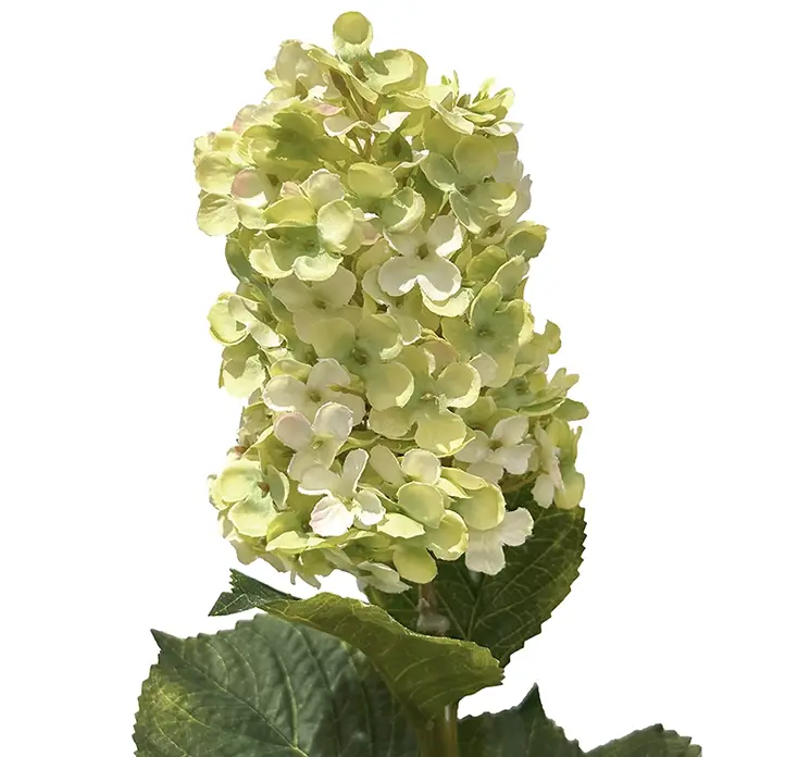 syrenhortensia kunstig blomst af plast i grøn closeup