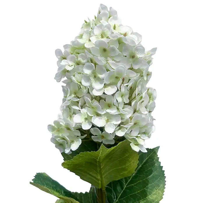 kunstig syrenhortensia blomst af plast i hvid  closeup