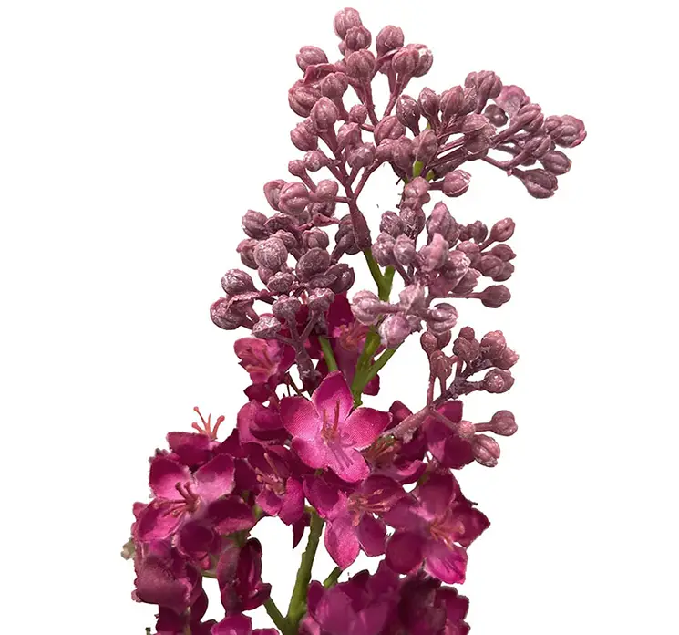 Syren kunstig blomster gren af plast i lilla closeup