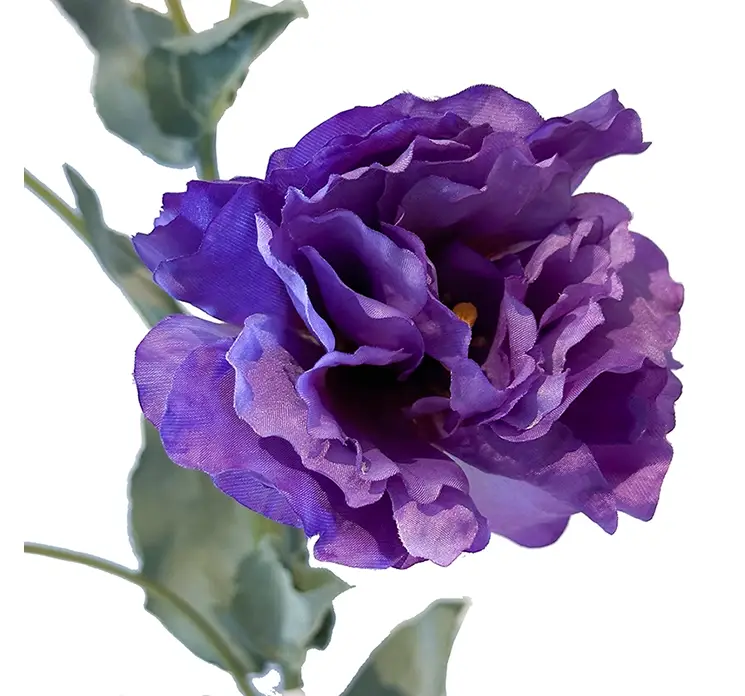 Texas klokke også kaldet eustoma praerieensian kunstig blomst af plast i lilla closeup