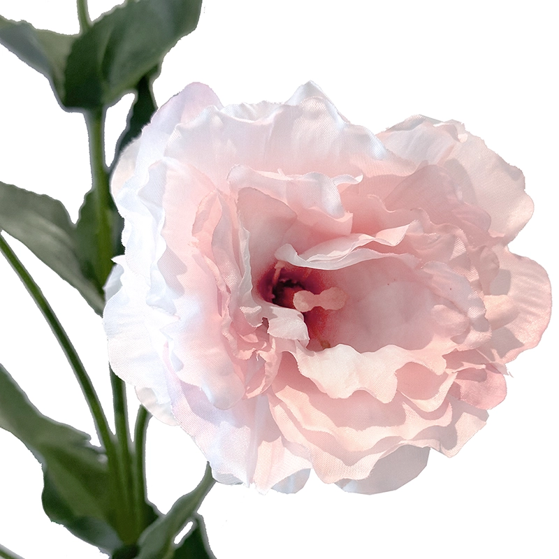 Texas klokke også kaldet eustoma praerieensian kunstig blomast  af plast i rosa
