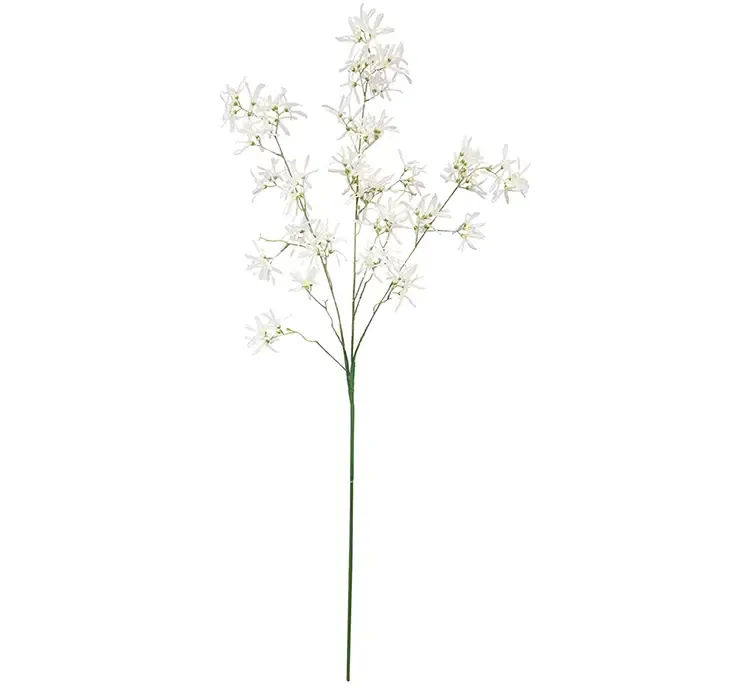 Kunstig troldenød også kaldet hammelis i hvid af plast