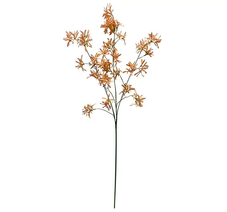 Kunstig troldnød også kaldes hammelis i orange af plast