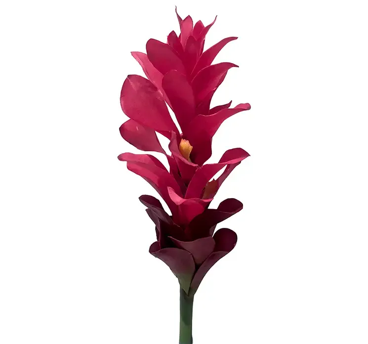 Kunstig tropisk blomst i pink af plast closeup