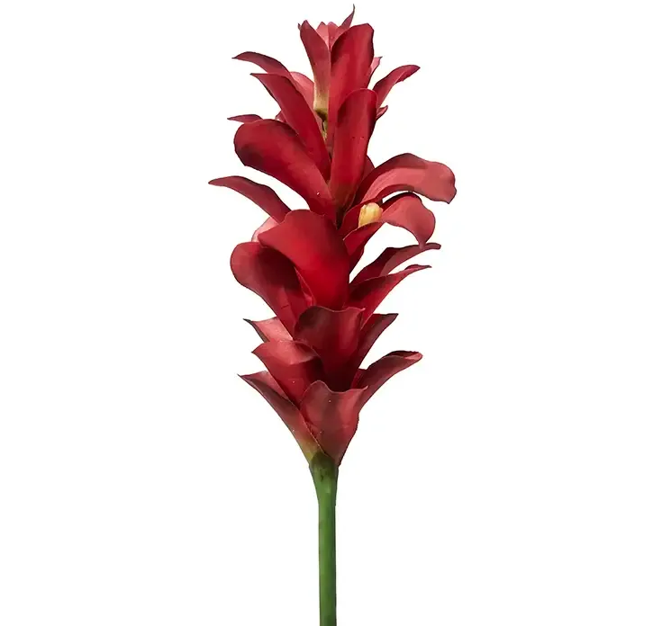 Kunstig tropisk blomst i rød af plast closeup