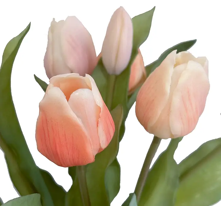 Tulipan buket af gummi i fersken farvet meget naturtro og real touch 31cm closeup