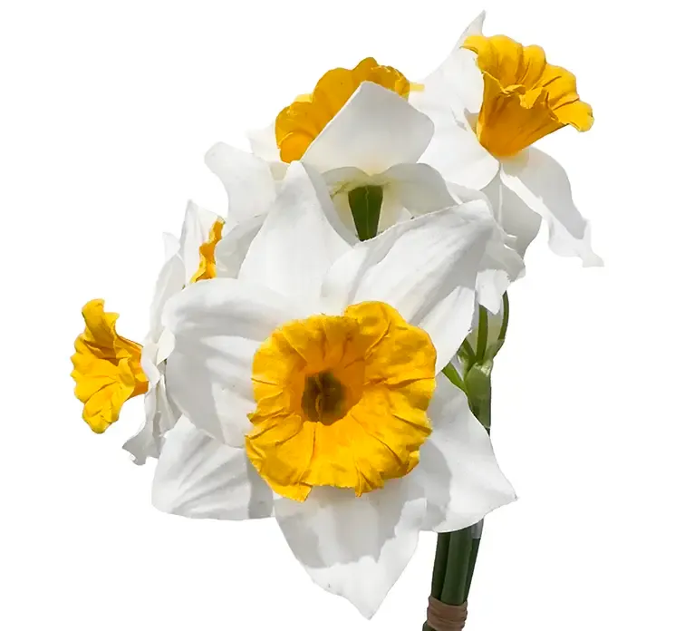 Kunstig påskebuket med tre stilke af plast, hvid og gul closeup