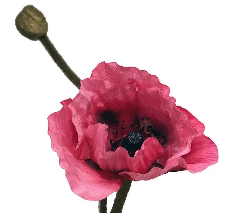 Valmue kunstig blomst med en knop af plast i pink closeup