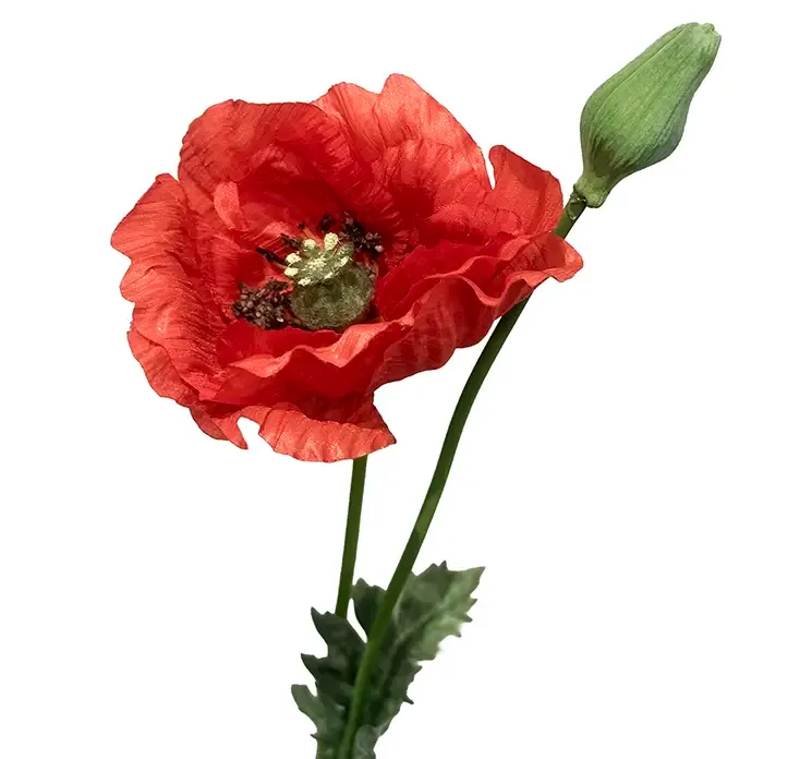 Kunstig valmue blomst og knob af plast i rød closeup