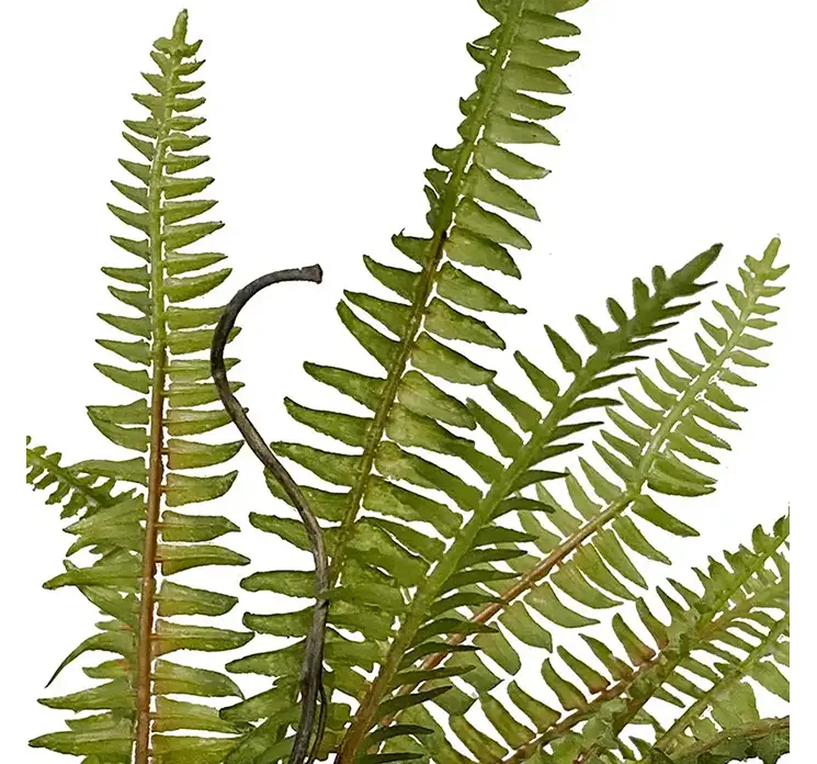 Bregne på stilk kunstig plante af plast i grøn 40cm closeup