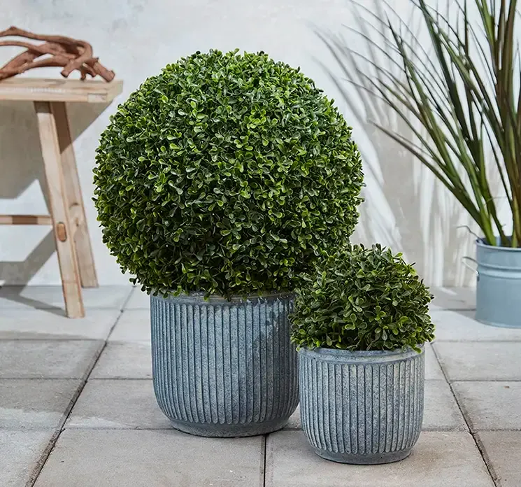 Krukke af cement i grå med rille mønster vist i miljø på terrasse med kunstige buksbom bolde