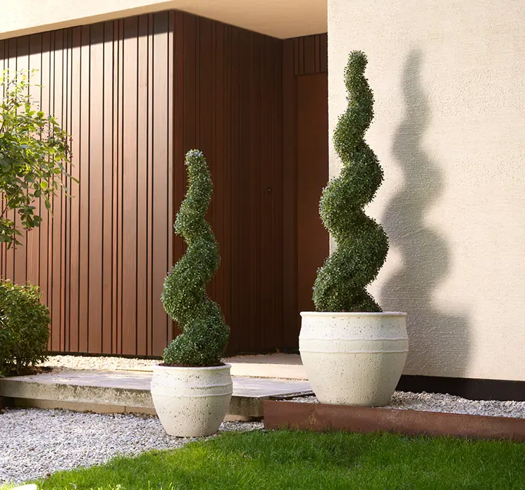 Cedertræer i spiralform kunstige uv-beskyttede planter vist i krukker på terrasse