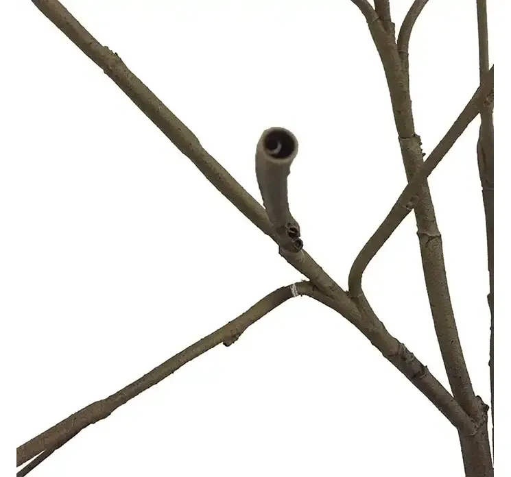 Kunstig træ i potte til dekoration, træet er af plast closeup af hul til grene