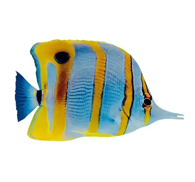 Kunstig tropefisk gul og blå stribet