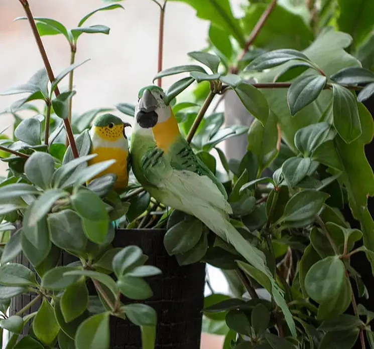 Fugl kunstig på pind af styrophor og fjer i grøn og gul her vist hvor de er sat i jorden på en plante