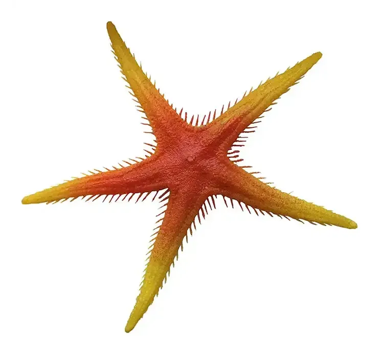 Søstjerne af plast i orange og gul kunstig dyr