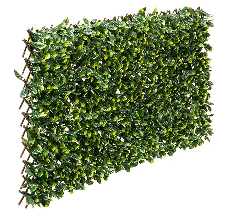 Espalier af kirsebærlaurbær kunstig af plast uv-beskyttet i grøn og med bambus baggrund