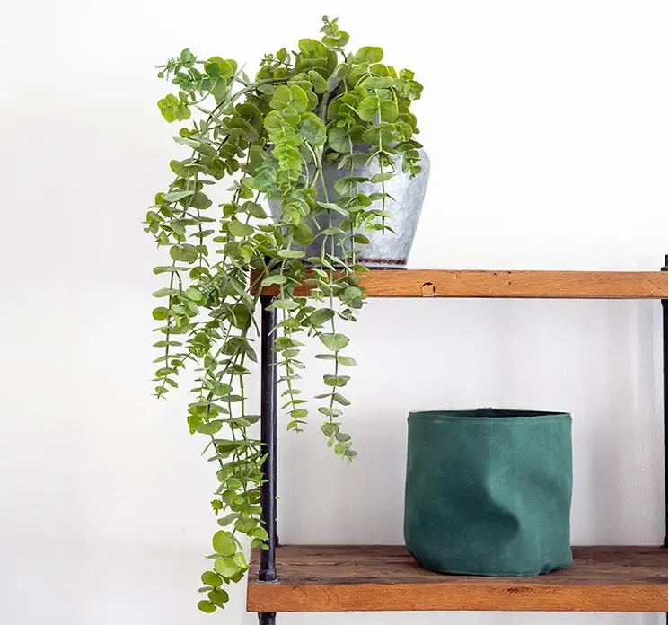 Kunstig eukalyptus hænger i grøn af plast vist i miljø på reol