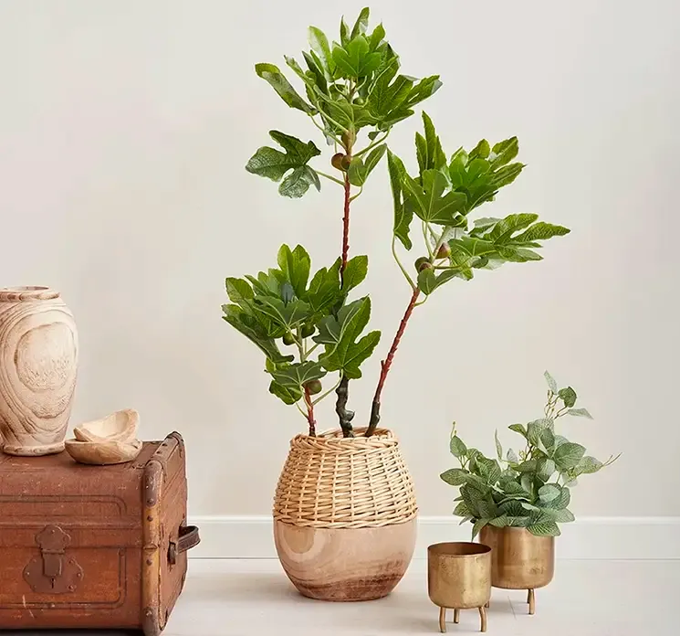 Kunstig figen træ med figner vist i stue miljø med træ krukke med flet