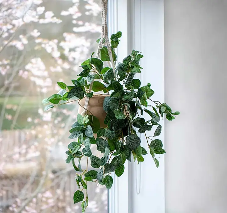 Hængekrukke i kejsertræ med marcrame ophæng vist i miljø med kunstig plante i vindueskarm